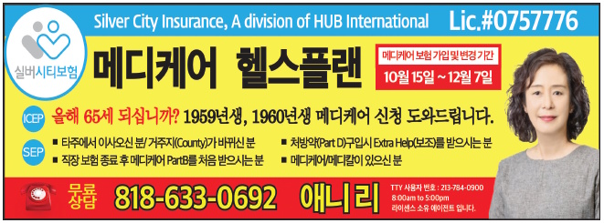 애니 리 보험 (Annie Lee) | Silver City Insuarance